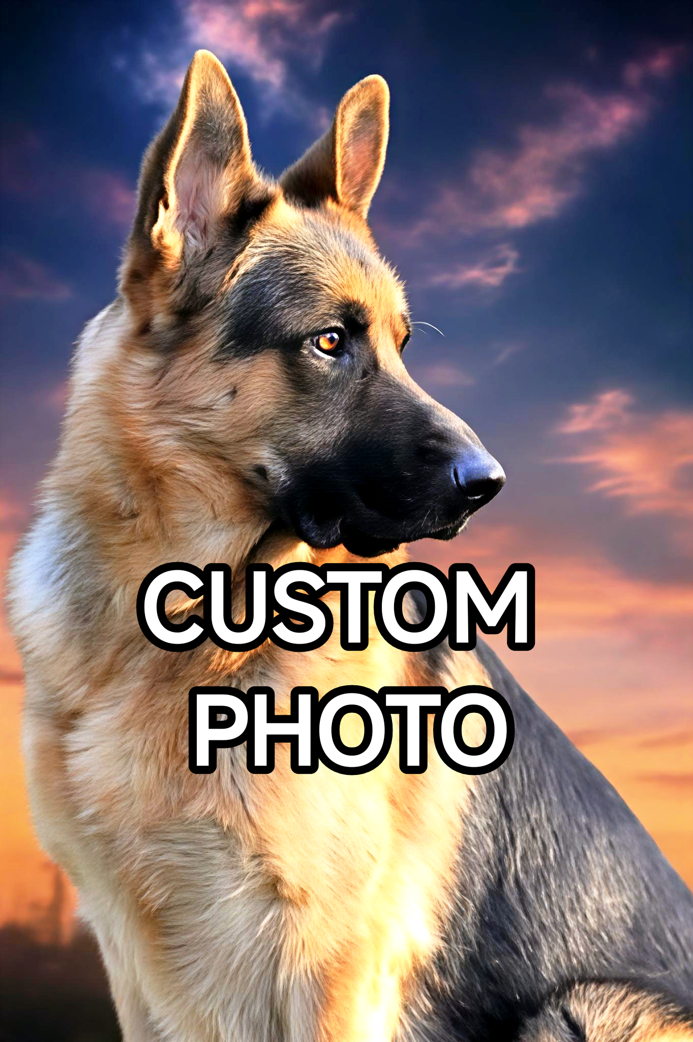 Custom Picture