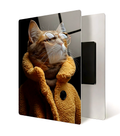 HD Cat metal print 18 x 12 inches